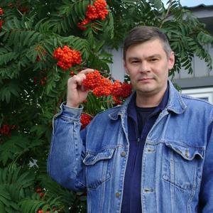 Парни в Мурманске: Вячеслав, 49 - ищет девушку из Мурманска