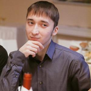 Айнур Зарипов, 35 лет, Златоуст