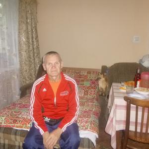 Сергей Дядев, 64 года, Ярославль