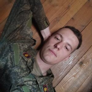 Степан, 22 года, Лесколово