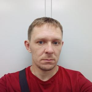 Саша, 43 года, Красноярск