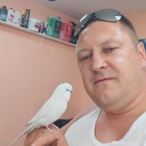 Анатолий, 39 лет, Калининград
