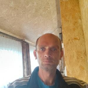 Юрий, 43 года, Москва