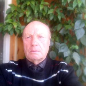 Парни в Ульяновске: Валерий, 68 - ищет девушку из Ульяновска