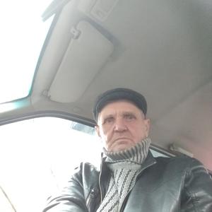Владимир, 61 год, Омск