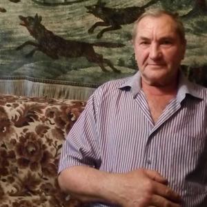 Василий Зорин, 72 года, Москва