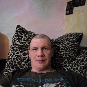 Андрей, 43 года, Котлас