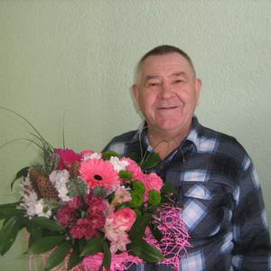 Михаил, 74 года, Воронеж