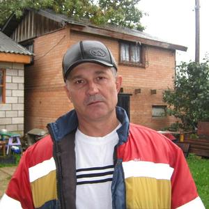 Николай Голованов, 55 лет, Тольятти
