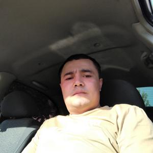 Музаффар, 35 лет, Ташкент