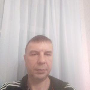 Павел Николаев, 48 лет, Колпино