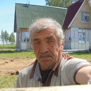 Владислав, 69 лет, Новосибирск
