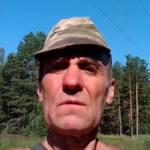 Виктор, 64 года, Москва