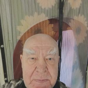 Парни в Разночиновке: Вячеслав, 81 - ищет девушку из Разночиновки