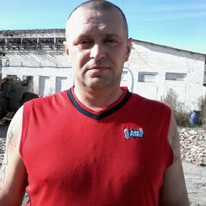 Игорян, 48 лет, Тула