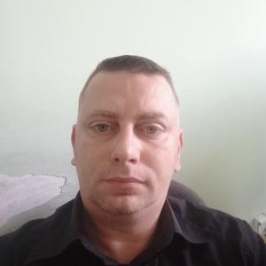 Парни в Бресте (Беларусь): Igor, 39 - ищет девушку из Бреста (Беларусь)
