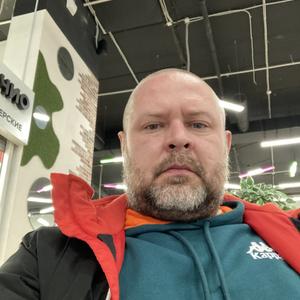 Andrei Mihailovich, 42 года, Уфа