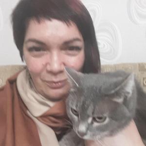 Елена Прекрасная, 43 года, Димитровград