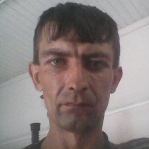 Дмитрий, 34 года, Светлогорск