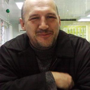 Дмитрий Соломахин, 50 лет, Самара