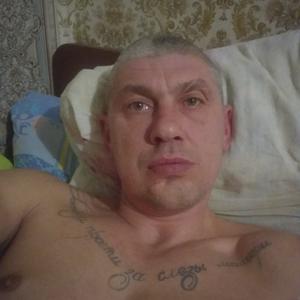 Олег, 45 лет, Бежаницы