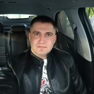 Алексей Сергеев, 39 лет, Москва