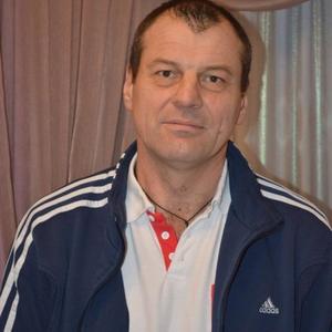 Игорь Авдеев, 58 лет, Воронеж