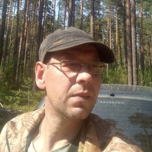 Александр, 44 года, Владимир
