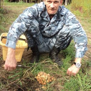 Владимир, 53 года, Калининград