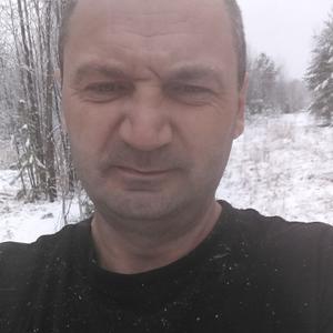 Владимир, 46 лет, Томск