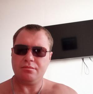 Dima, 43 года, Боровичи