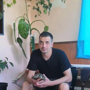 Парни в Владивостоке: Павел, 34 - ищет девушку из Владивостока