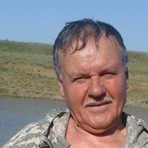 Сергей, 63 года, Михайловск