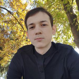 Владимир, 26 лет, Семикаракорск