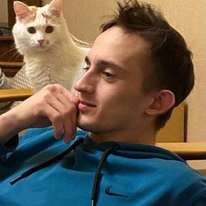 Сергей, 29 лет, Ольховатка