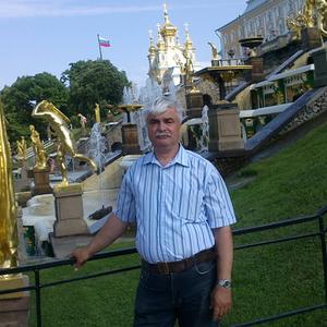 Юрий Лученко, 67 лет, Санкт-Петербург