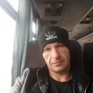 Андрей Гавриленко, 39 лет, Могилев