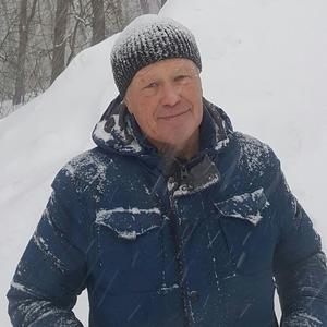 Владимир, 75 лет, Самара
