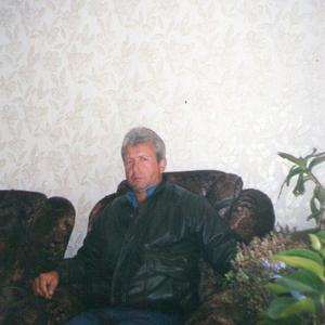 Валерий Терёхин, 66 лет, Шаталово