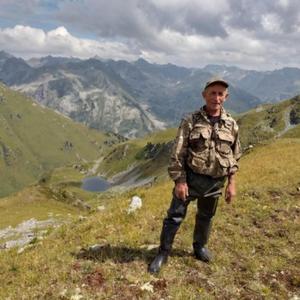 Дмитрий, 63 года, Алтайский