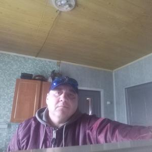 Олег, 53 года, Пушкино