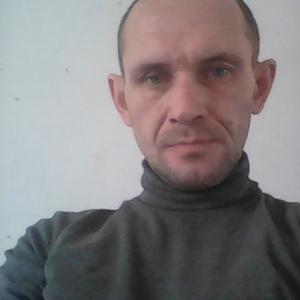 Сергей, 49 лет, Ковров