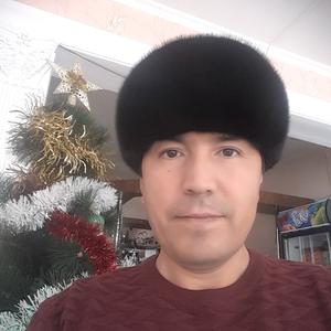 Abdik, 49 лет, Москва