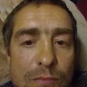 Игорь, 47 лет, Кашира