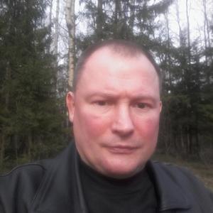 Парни в Электросталь: Владимир Викентьв, 45 - ищет девушку из Электросталь