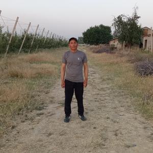 Umid, 33 года, Ташкент