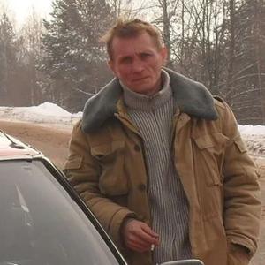 Сергей, 50 лет, Ляды