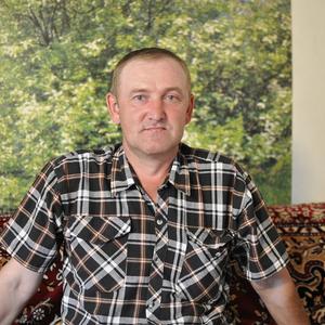 Анатолий, 52 года, Черемшан