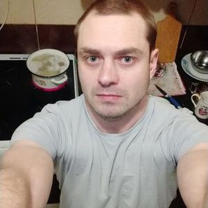 Андрей, 35 лет, Калининград