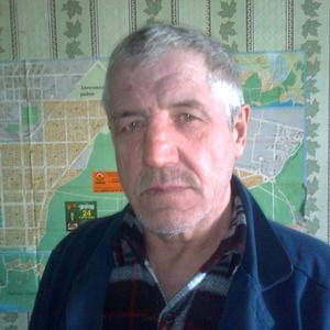 Владимир, 67 лет, Тольятти